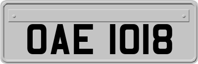 OAE1018
