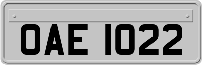 OAE1022