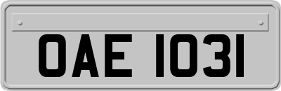 OAE1031