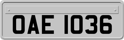 OAE1036