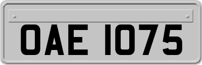 OAE1075
