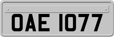 OAE1077