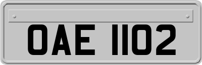 OAE1102