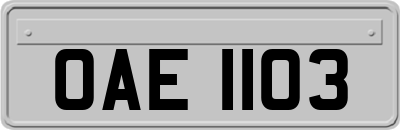 OAE1103