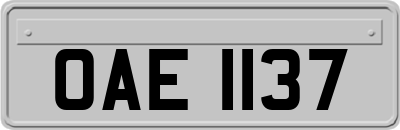 OAE1137