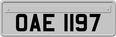 OAE1197