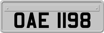 OAE1198
