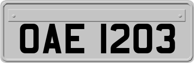 OAE1203