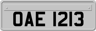 OAE1213