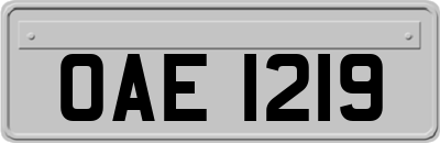 OAE1219