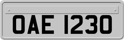 OAE1230