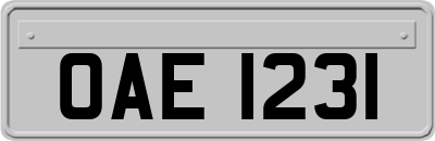 OAE1231