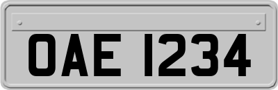 OAE1234
