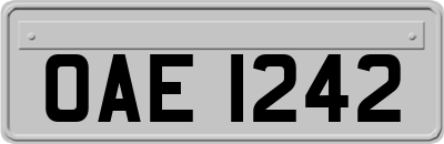 OAE1242