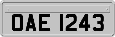 OAE1243