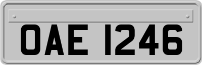 OAE1246