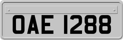 OAE1288