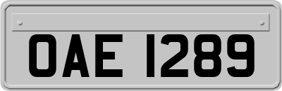 OAE1289