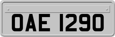 OAE1290