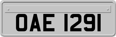 OAE1291