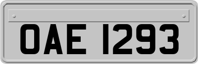 OAE1293