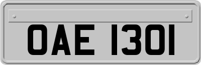 OAE1301