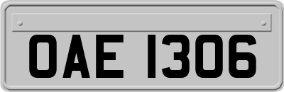 OAE1306