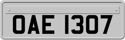 OAE1307