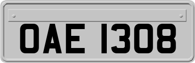 OAE1308