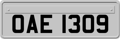 OAE1309