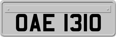 OAE1310