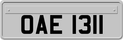 OAE1311
