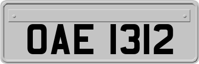 OAE1312