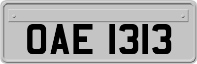 OAE1313