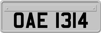 OAE1314