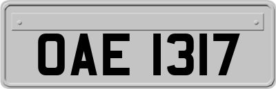 OAE1317