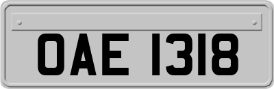OAE1318