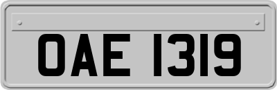 OAE1319