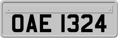 OAE1324