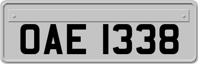 OAE1338