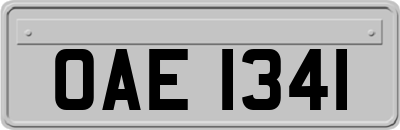 OAE1341