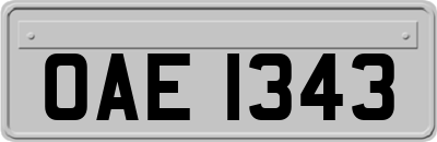 OAE1343