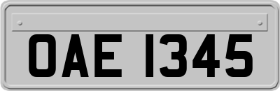 OAE1345