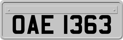 OAE1363