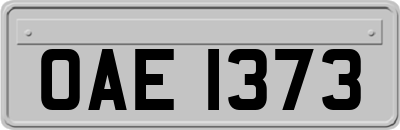 OAE1373