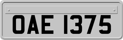OAE1375
