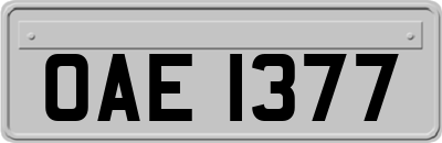 OAE1377