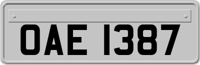OAE1387