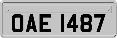 OAE1487
