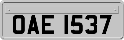 OAE1537